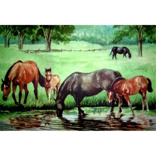 H2H Horse Pond Doormat Rug, Green - 18 x 30 in. H22548333 - main